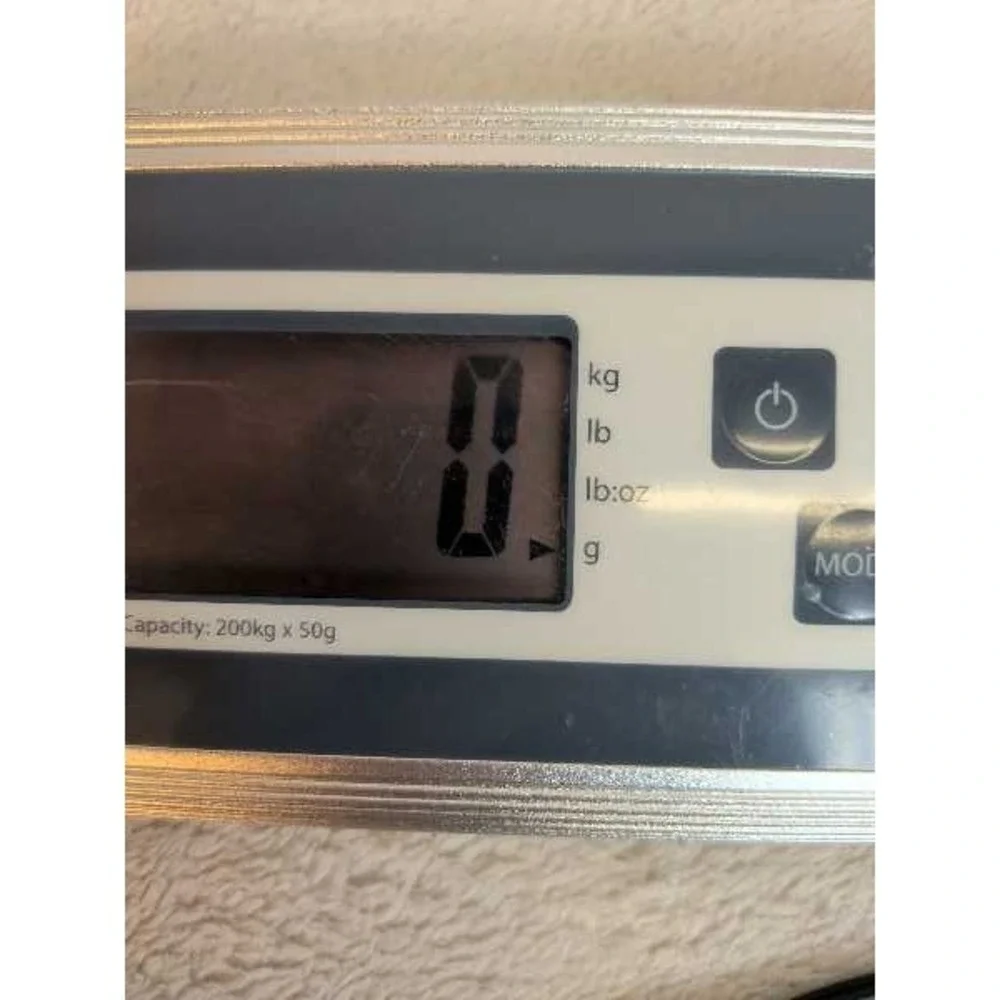 Smart Weigh ACE200 Digital Scale 440lb Capacity Stainless Steel Mail Kitchen